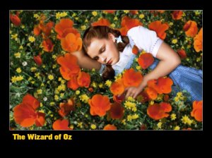 Dorothy-In-the-Poppy-Field-the-wizard-of-oz-4640408-1024-768